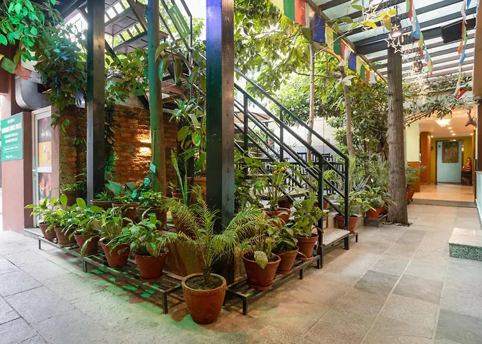 Oasis